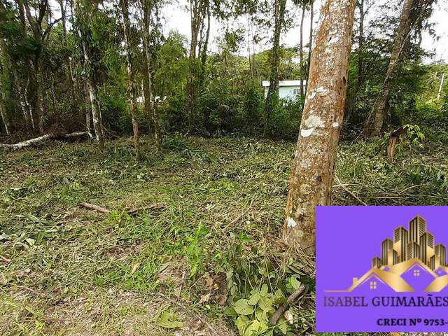 #299 - Área para Venda em São João do Itaperiú - SC - 2