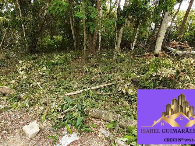 Área para Venda em São João do Itaperiú - 4