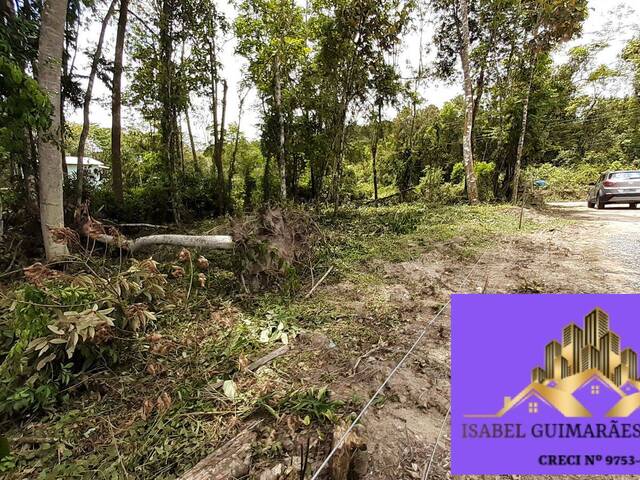 Área para Venda em São João do Itaperiú - 5
